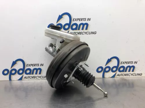 Rembekrachtiger-8112194