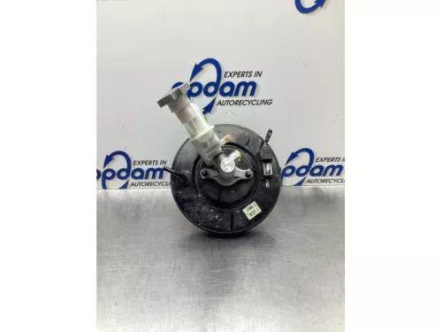 Rembekrachtiger-8099326