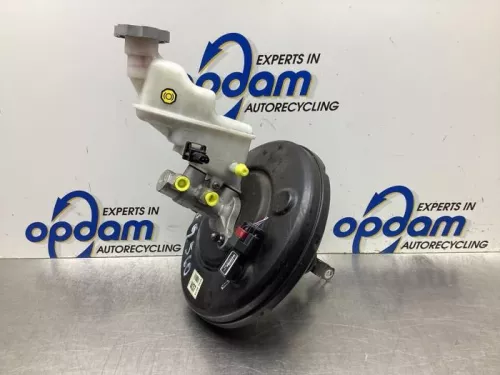 Rembekrachtiger-8110836