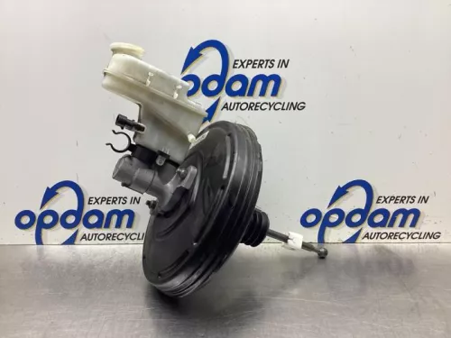 Rembekrachtiger-8091756