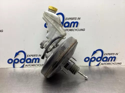 Rembekrachtiger-8072710