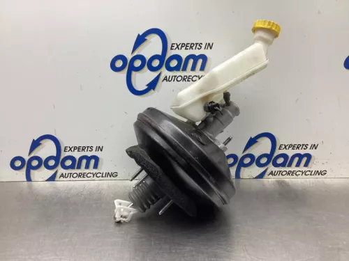 Rembekrachtiger-8078381