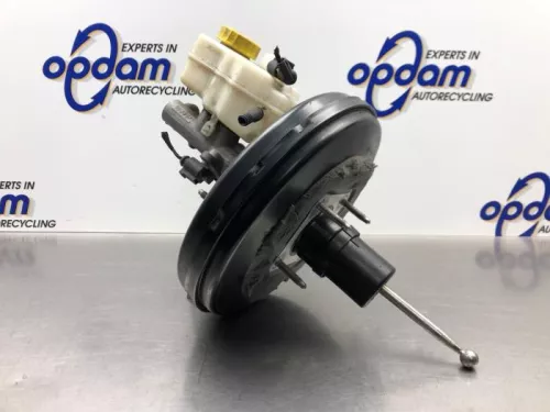 Rembekrachtiger-8075628