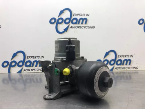 Rembekrachtiger-8076464