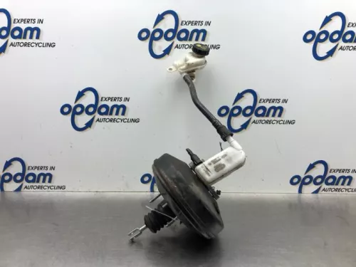 Rembekrachtiger-8065767