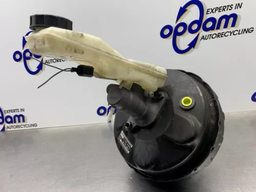 Rembekrachtiger-8180251