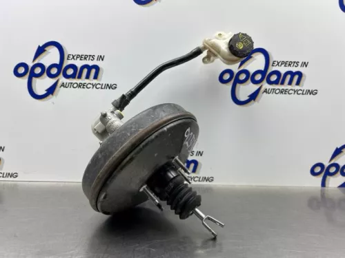 Rembekrachtiger-8284183