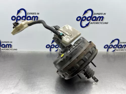 Rembekrachtiger-8177599