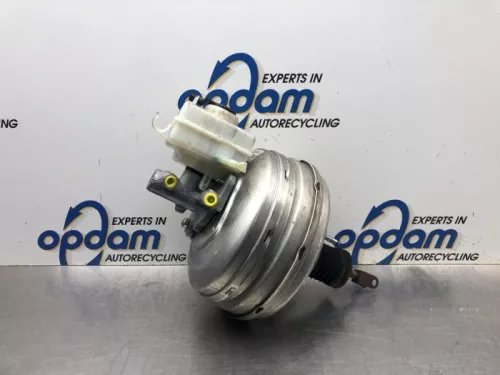 Rembekrachtiger-8103679