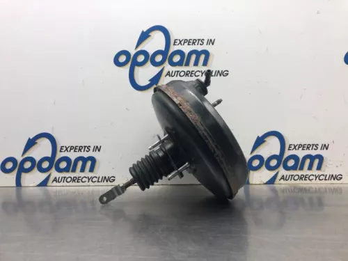 Rembekrachtiger-6109919