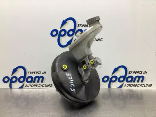 Rembekrachtiger-7936900