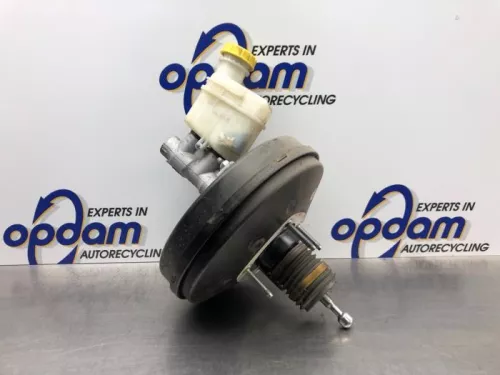 Rembekrachtiger-8132751