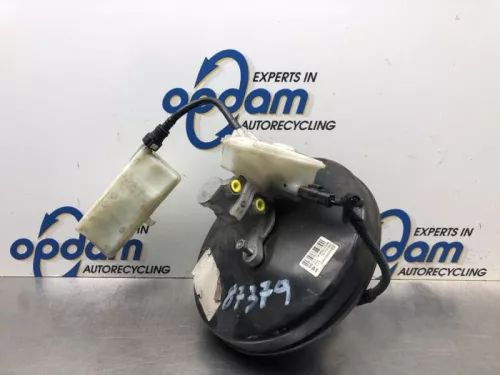 Rembekrachtiger-7934982