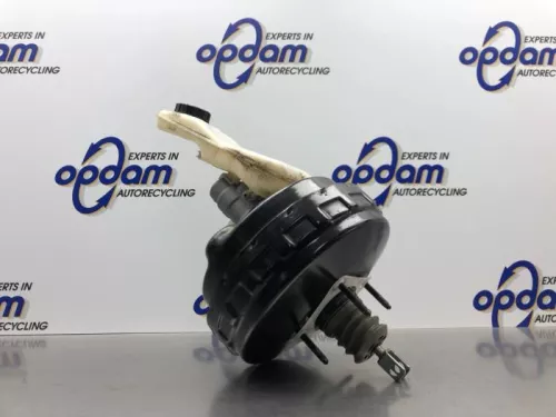 Rembekrachtiger-8083741