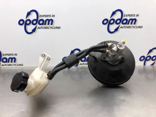 Rembekrachtiger-8203115