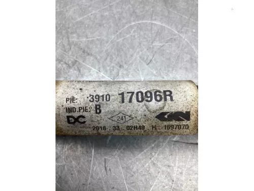 Aandrijfas links-voor Renault 391017096r jr5391