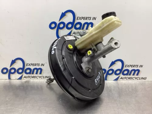 Rembekrachtiger-8122783