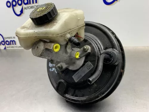 Rembekrachtiger-8261903