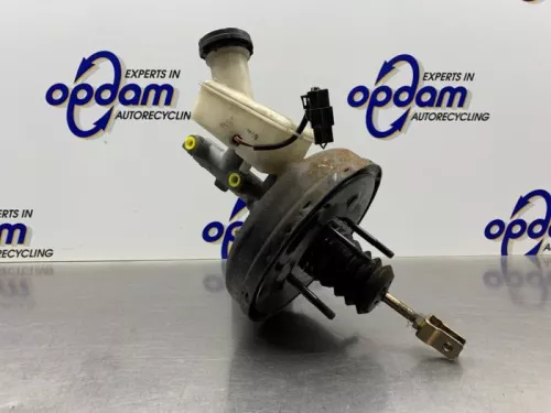 Rembekrachtiger-8275508