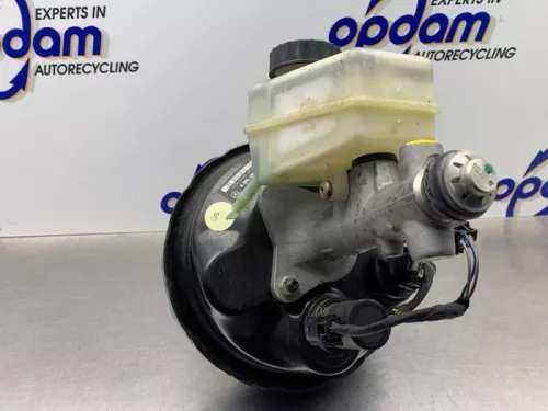 Rembekrachtiger-8203393