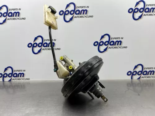 Rembekrachtiger-8294344