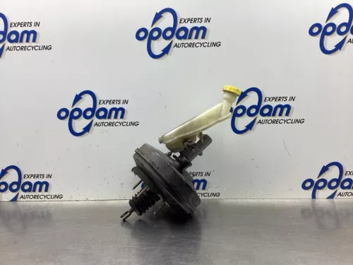 Rembekrachtiger-8135660