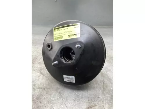 Rembekrachtiger-8176082