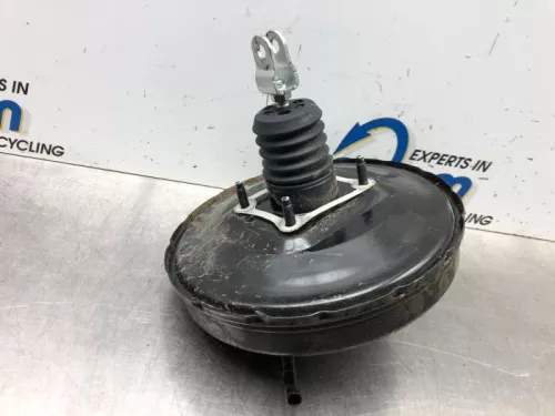 Rembekrachtiger-7587298