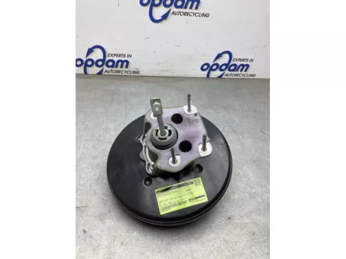 Rembekrachtiger-8126482