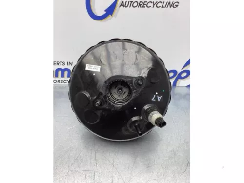 Rembekrachtiger-7581922