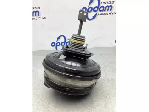 Rembekrachtiger-6880546