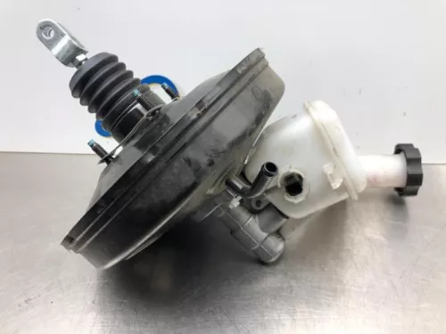 Rembekrachtiger-6446125