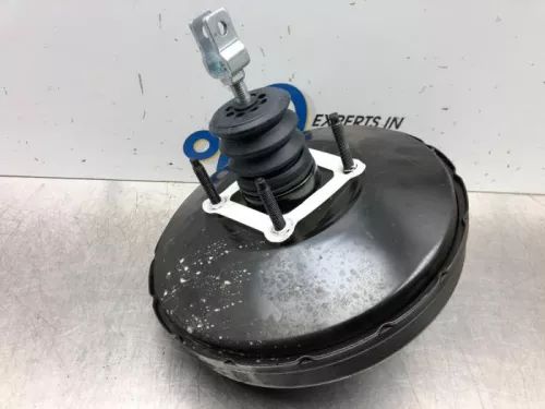 Rembekrachtiger-7613480