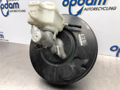 Rembekrachtiger-7608717