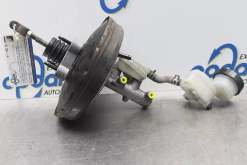 Rembekrachtiger-7847226