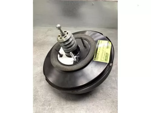 Rembekrachtiger-8118846