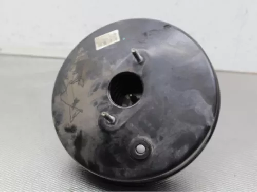 Rembekrachtiger-7882841