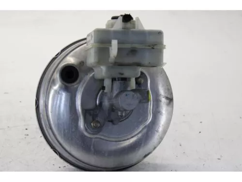 Rembekrachtiger-7878947