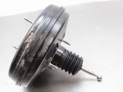 Rembekrachtiger-7884682