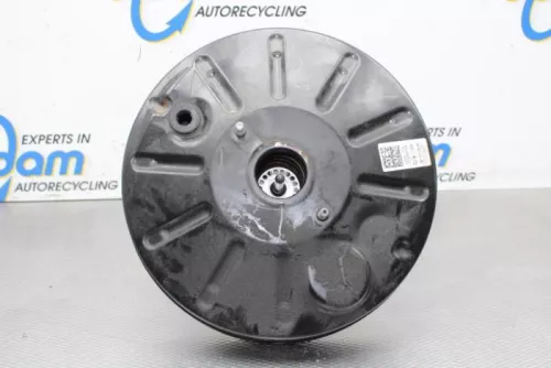 Rembekrachtiger-6939411