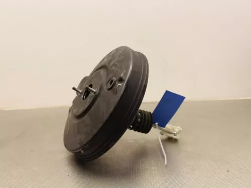 Rembekrachtiger-7887473