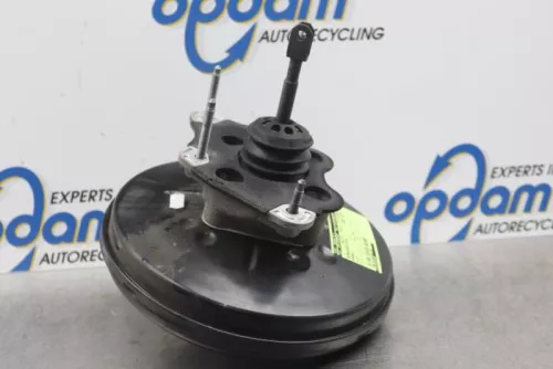 Rembekrachtiger-7581028