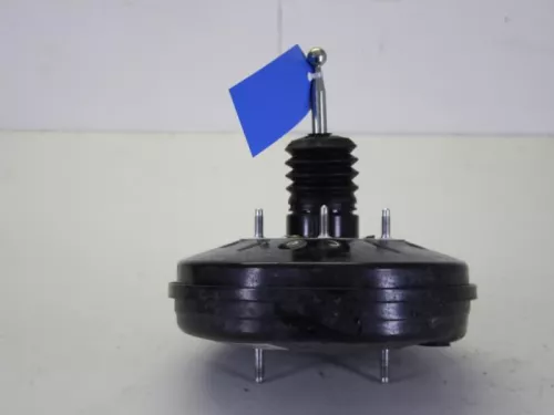 Rembekrachtiger-7883893