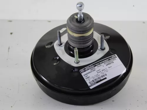 Rembekrachtiger-7889026