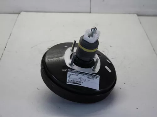 Rembekrachtiger-7880602