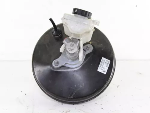 Rembekrachtiger-7888271