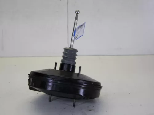 Rembekrachtiger-7883045