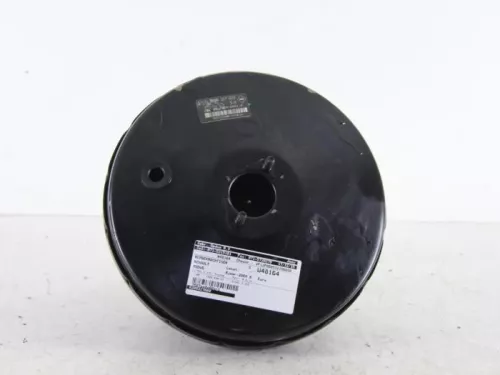 Rembekrachtiger-7887511