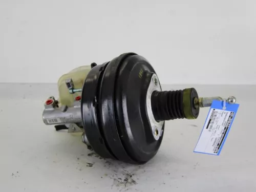 Rembekrachtiger-7887693