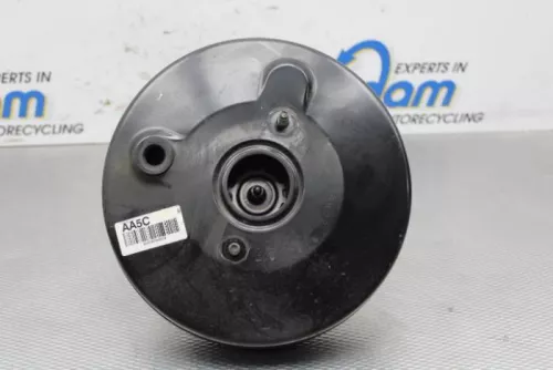 Rembekrachtiger-6498507